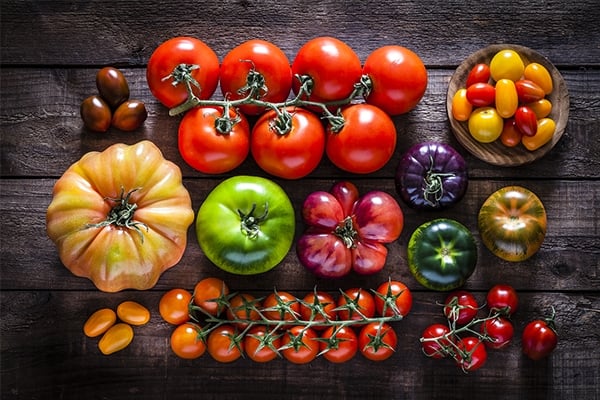 blog/2018/07/12-varietes-tomates-incontournables-originales.jpg