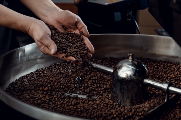 Torréfaction : tout savoir sur l'art de torréfier le café