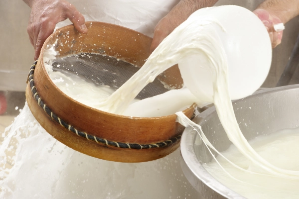 blog/2019/06/ce-que-vous-ne-savez-pas-sur-la-mozzarella.jpg