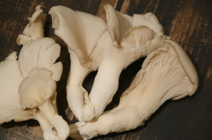 64/7c/c179e006fddfdc6bfe539e313677.jpg