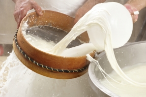 blog/2019/06/ce-que-vous-ne-savez-pas-sur-la-mozzarella.jpg