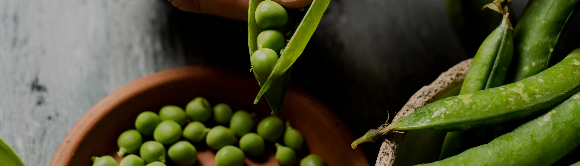 ecosser petits pois