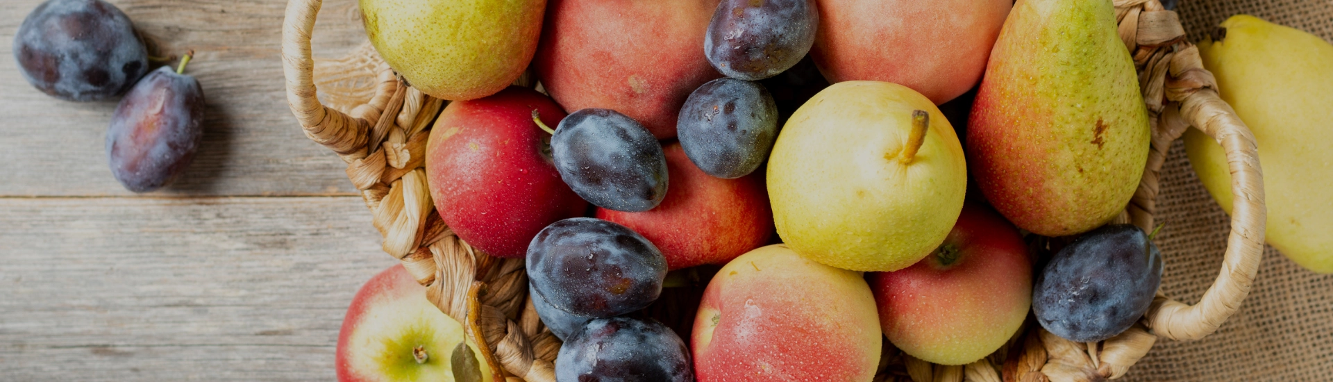 Fruits d'automne