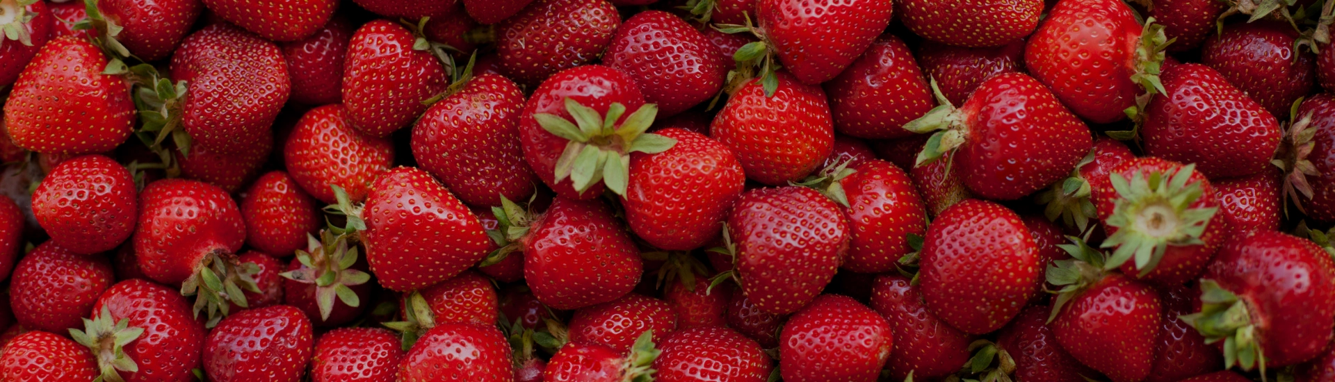 Fruits printemps