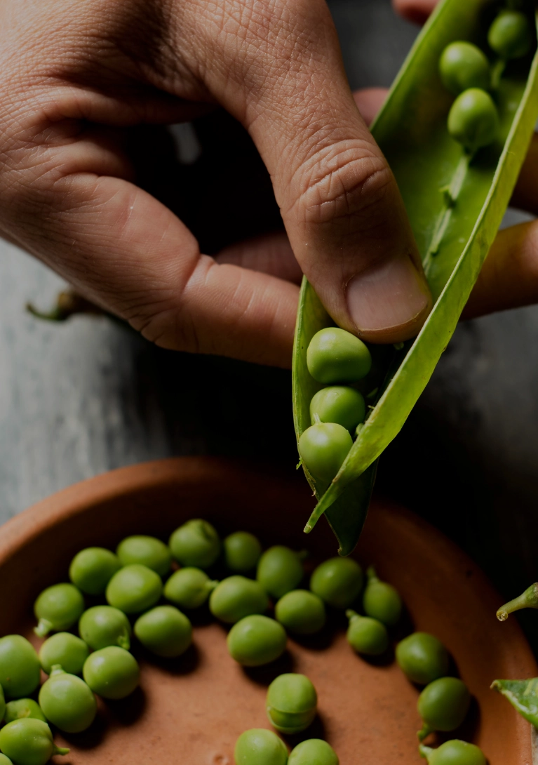 ecosser petits pois