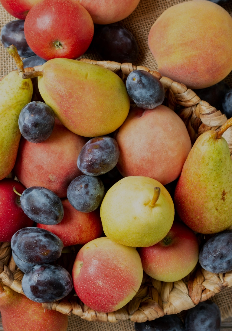Fruits d'automne