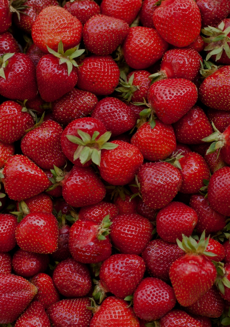 Fruits printemps