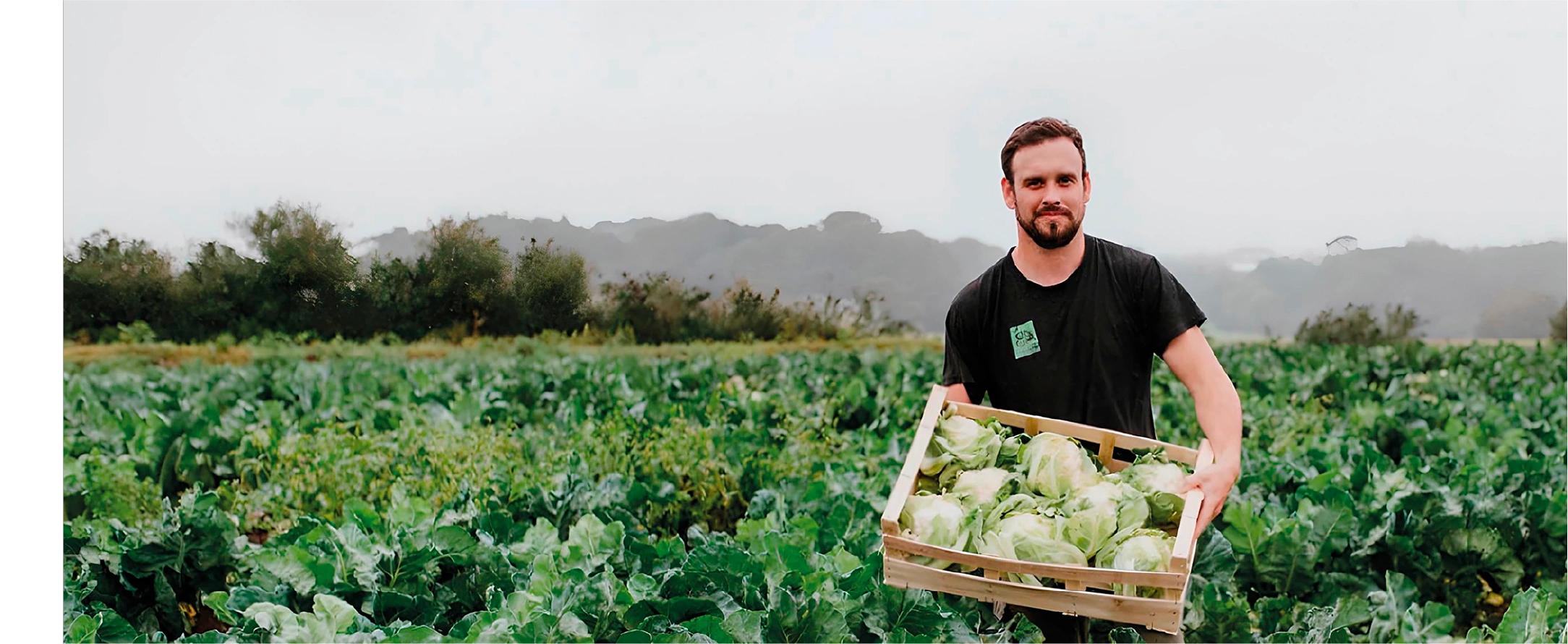 Producteur de la Ferme Ty Coz dans un champ de choux
