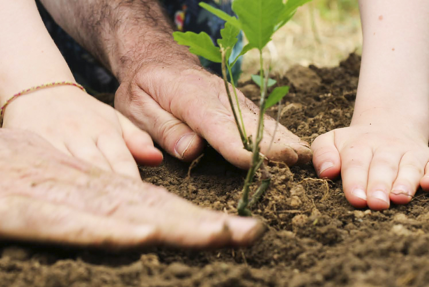 Une alimentation bénéfique pour les animaux et les consommateurs