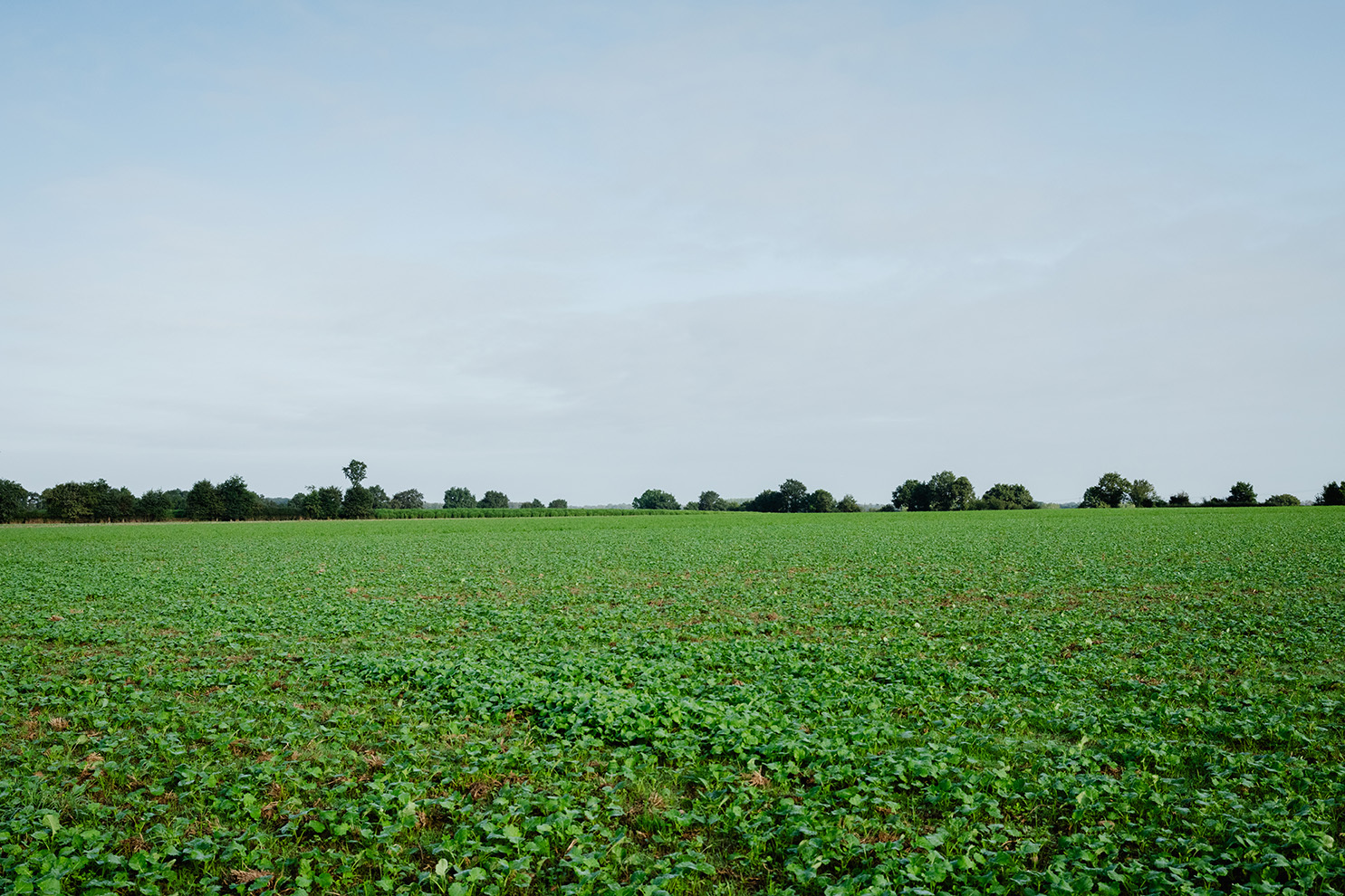 Des pratiques respectueuses de l'environnement